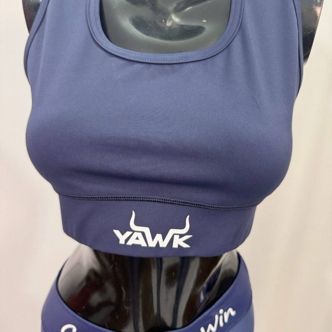 Women's blue fitness bra and shorts